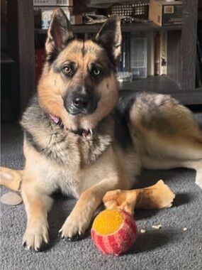 My New Baby! 10 Months Old and boy has she grown!